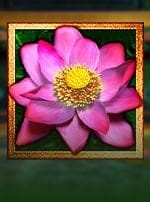 Thai Flower Power Play-bg