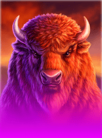 Buffalo 50-bg