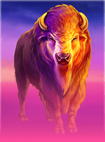 Buffalo Power: Hold and Win-bg