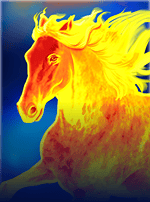 Mighty Stallion Hold & Win-bg