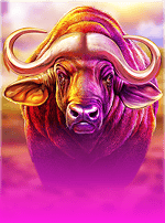 Buffalo Hold and Win-bg