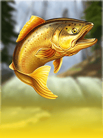Salmon King-bg