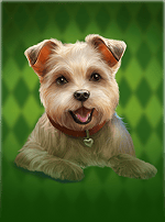 Diamond Doggies-bg
