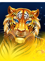 Magic Treasures Tiger-bg