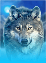 Siberian Wolf-bg
