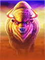 Buffalo King Megaways