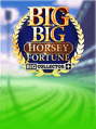 Big Big Horsey Fortune