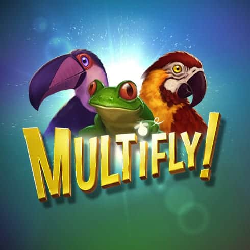 Multifly