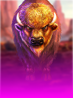Big Buffalo