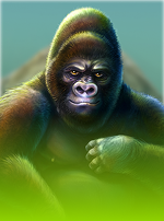 Silverback Multiplier Mountain