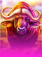 Buffalo Hold and Win