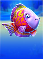 Gold Fish Feeding Time!