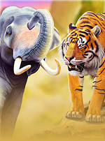 Elephants vs Tigers
