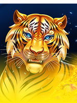 Magic Treasures Tiger